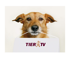 TIER TV